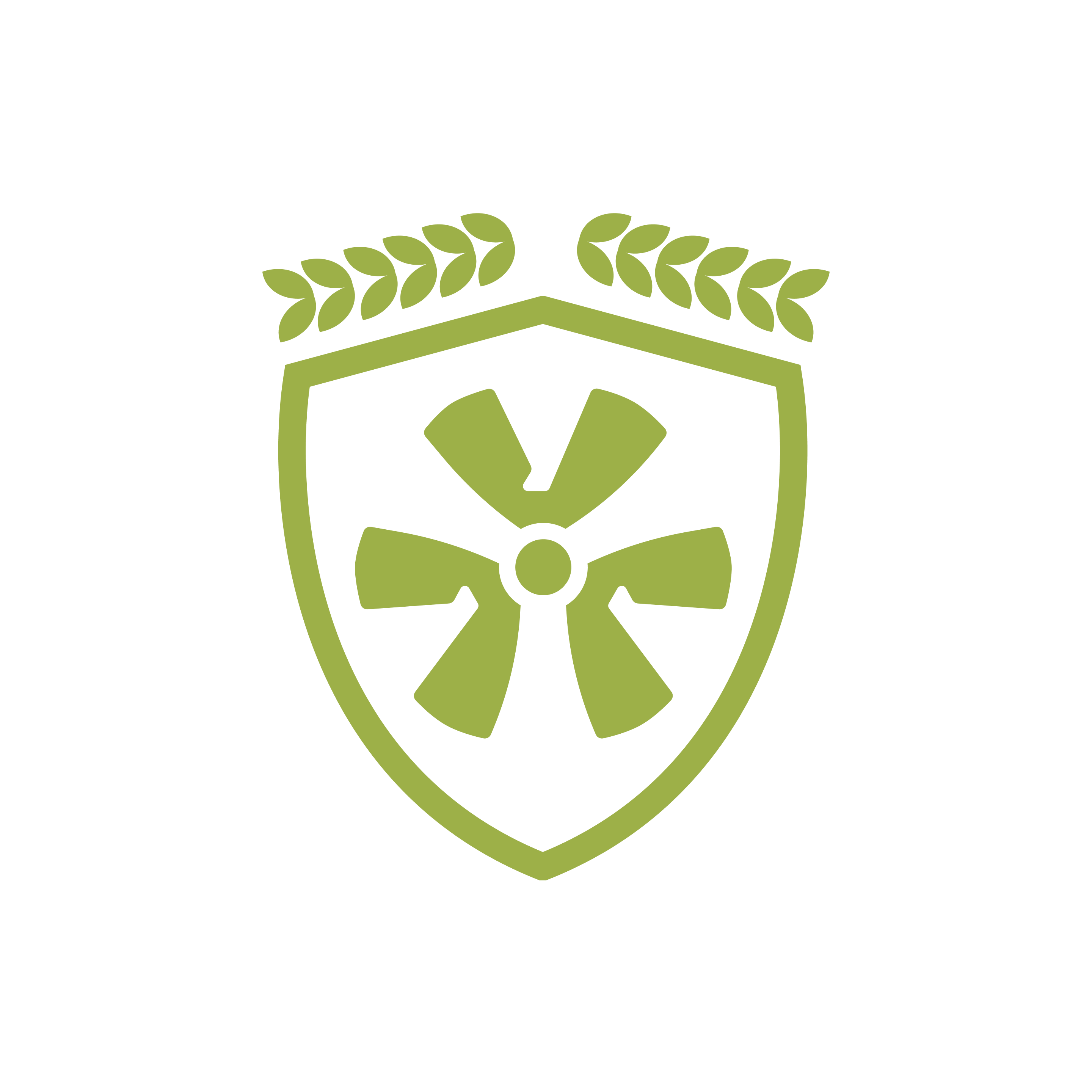 Palaestra shield icon